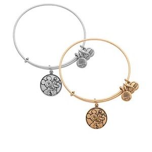 Disney Alex and Ani bracelet